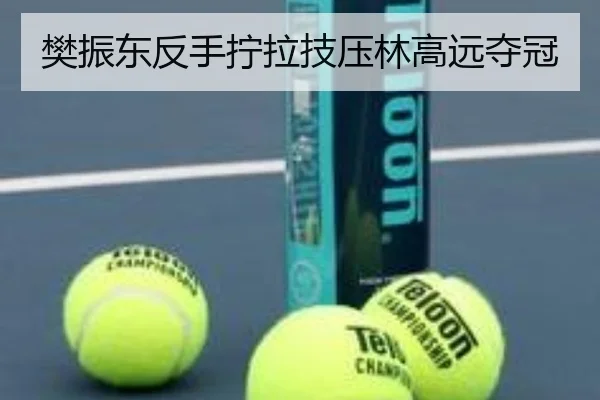 樊振东反手拧拉技压林高远夺冠