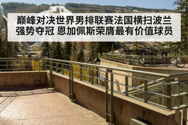 巅峰对决世界男排联赛法国横扫波兰强势夺冠 恩加佩斯荣膺最有价值球员